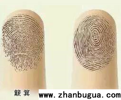 指紋組合看性格